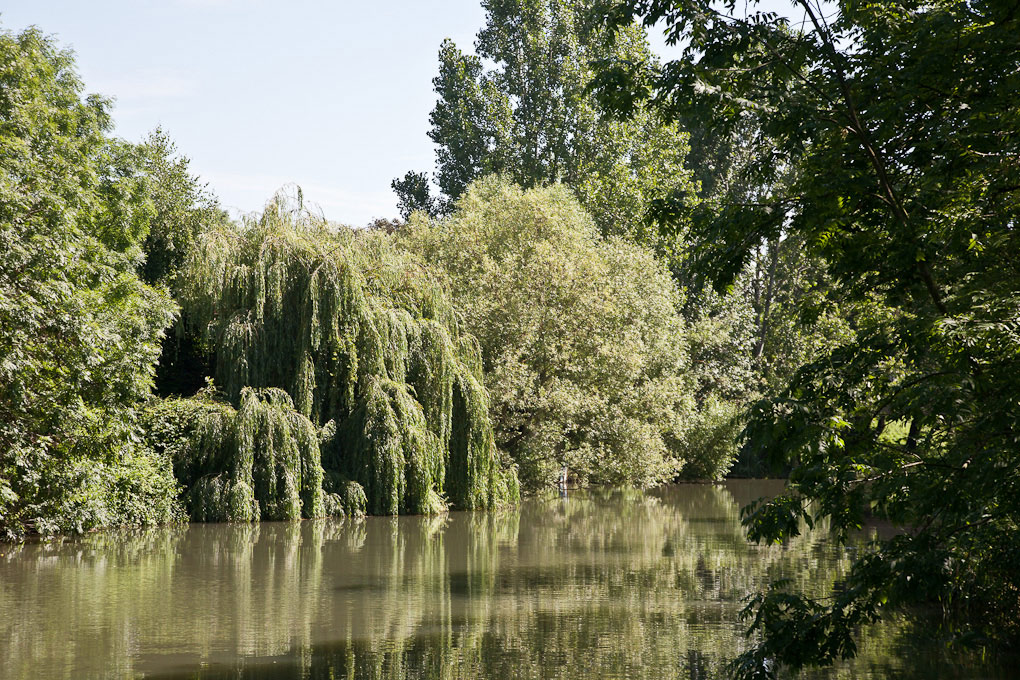 Metz